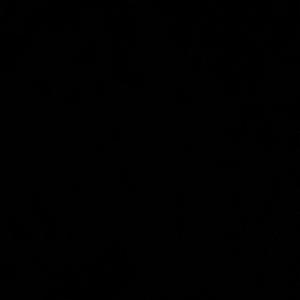 Straight From Hell (#FREEDAMEMBERS) (feat. SpinBlazin) (Explicit)