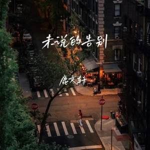 未说的告别 (伴奏)