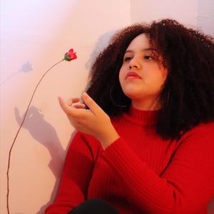 Meu Coração Ama Você