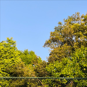 魏铭震 - 迷宫 (Demo)