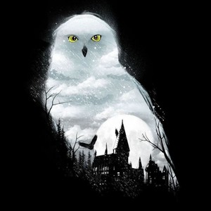 Mega de Hogwarts 004 (Explicit)