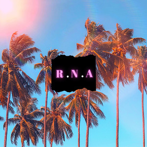 R.N.A (Explicit)