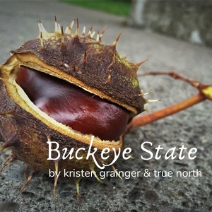Buckeye State