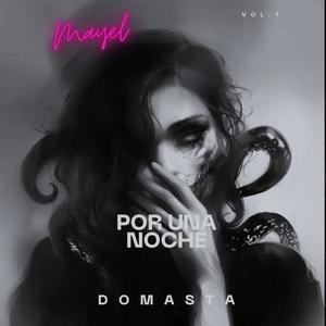 Por una noche de