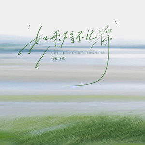 如果声音不记得封面