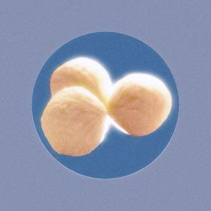 BUTTERBALLS (Explicit)