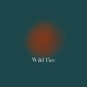 【BEAT】'Wild Fire'