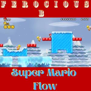 Super Mario flow (Explicit)