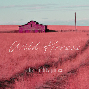 Wild Horses