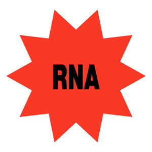 RNA (Explicit)