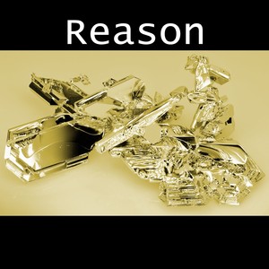 Reason