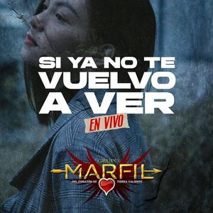 Si Ya No Te Vuelvo A Ver (En vivo)