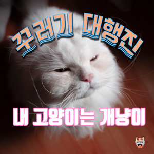 내 고양이는 개냥이 (我的猫是小狗猫)