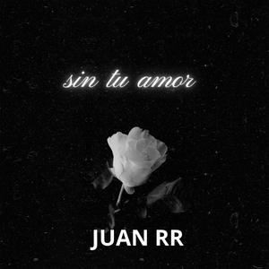 Sin tu amor