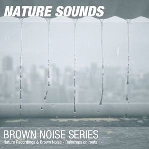 Nature Recordings & Brown Noise - Raindrops on roofs