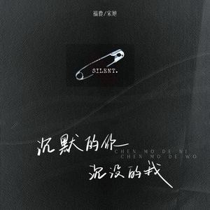 沉默的你沉没的我