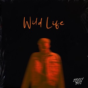 Wild Life (Explicit)