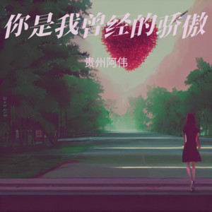 你是我曾经的骄傲 (Live)