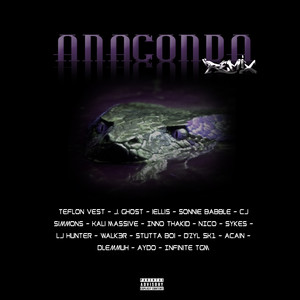 Anaconda (Remix)