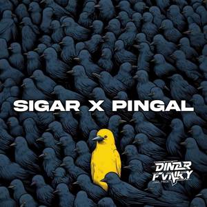 SIGAR X PINGAL