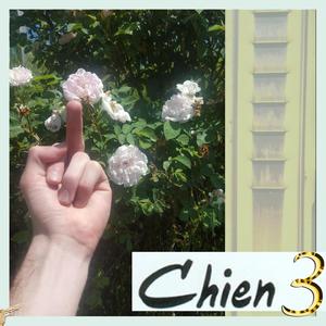 Chien 3 (Explicit)