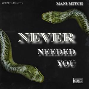 Never Needed You (Explicit)