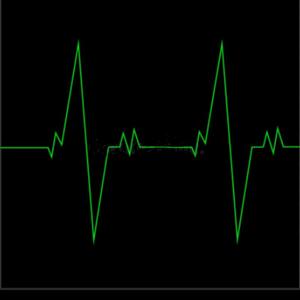 Paon Flow (Explicit)