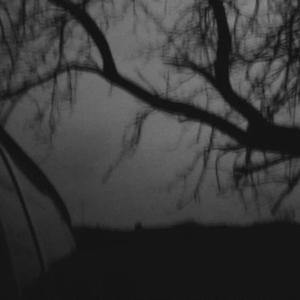 Plywood Dub (feat. Base One)