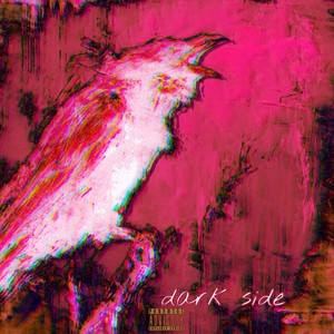 dark side (Explicit)