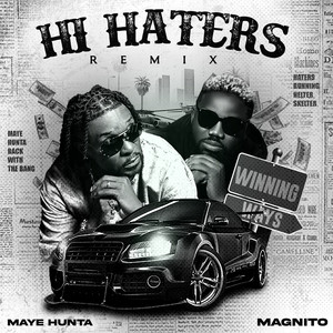 Hi Haters (Remix)