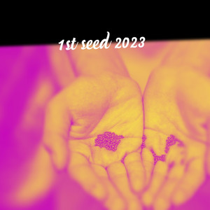 1 Seed 2023
