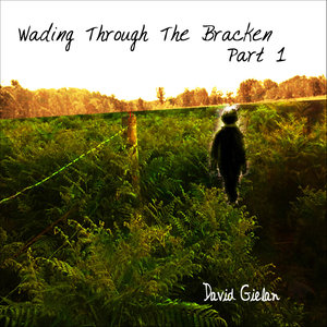 Never Stop Believing