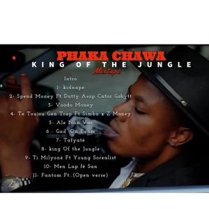 KING OF THE JUNGLE (Explicit)