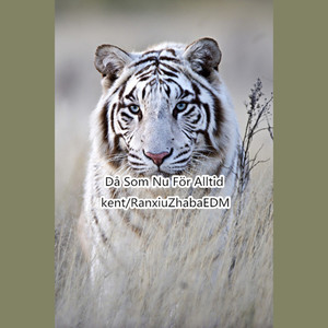 Da Som Nu For Alltid