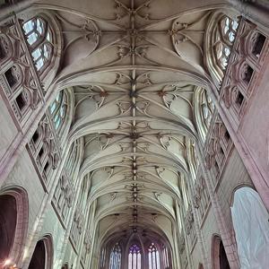 tastes like dirt (Explicit)