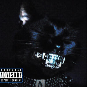 Cash Out (feat. Dyingbirds) (Explicit)