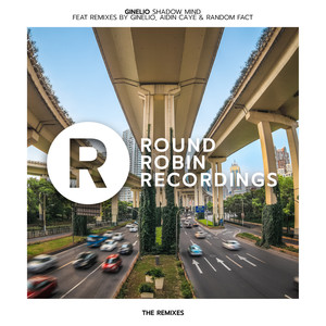 Shadow Mind (Random Fact Remix)