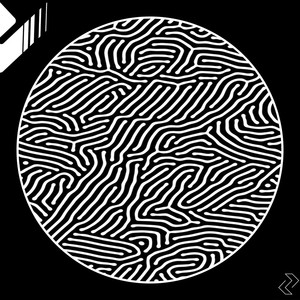 Fragmentos del Tiempo