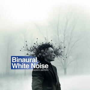 Binaural White Noise