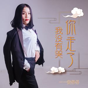 你走了我没有哭
