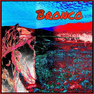 Bronco