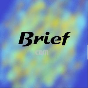 Brief