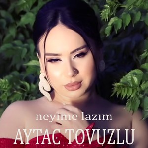 Neyime Lazım