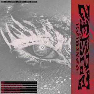 ZEBRA (Dy Fuchs Remix|Explicit)