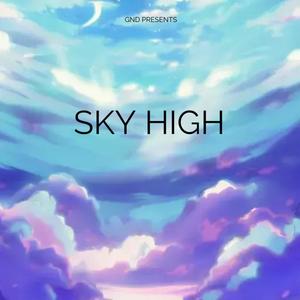 Sky High (feat. VLone Dreamz & 1Hunnid) [Explicit]