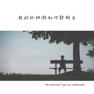 我的孤独假如你能明白 (伴奏)