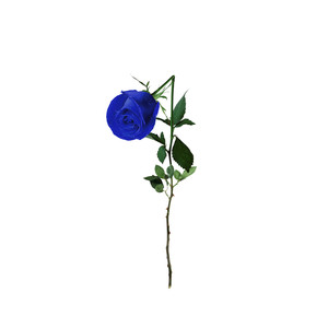 눈감을때