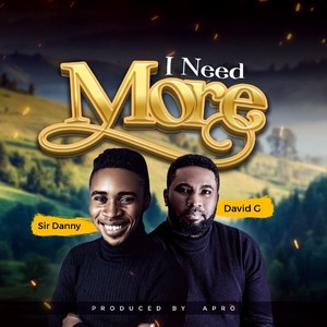 I Need More (feat. David G)
