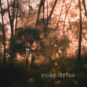 未完结的爱 (需要去等待)