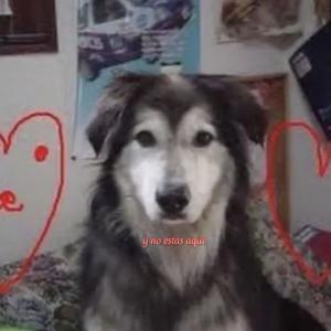 y no stas aki (Explicit)